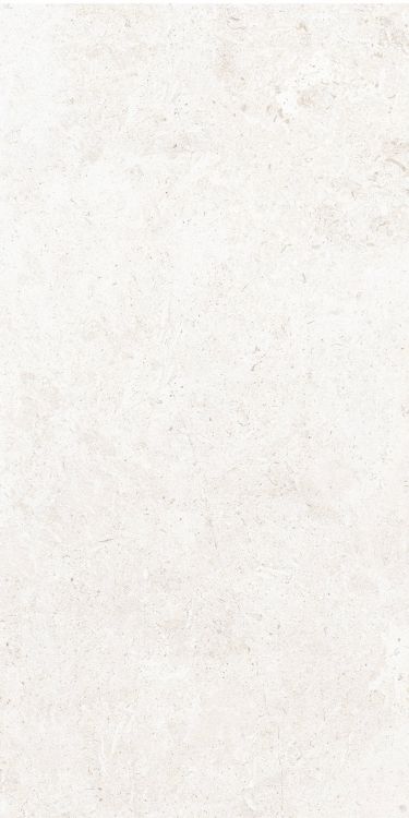 OL Limestone Bianco Matte 12 x 24